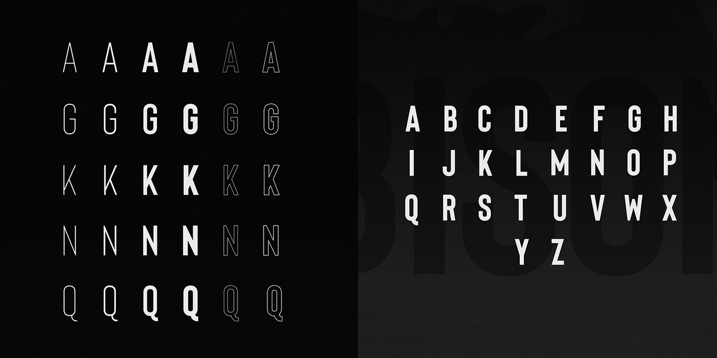 Example font Bison #2